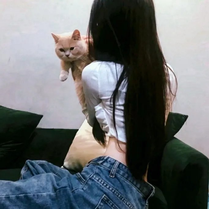 冒险王卫斯理之无名发